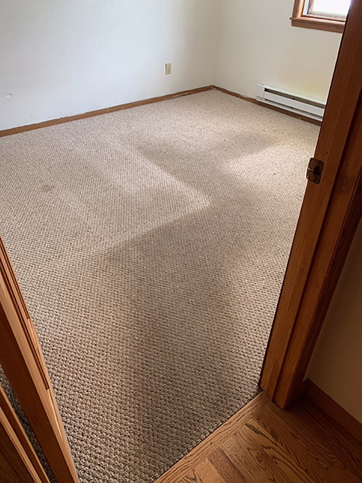 Dirty Bedroom Carpet (Before)